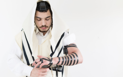 TAG 9: Die Lubawitscher Chabad-Bewegung